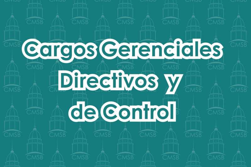 Identificación de Cargos Gerenciales, Directivos y de Control