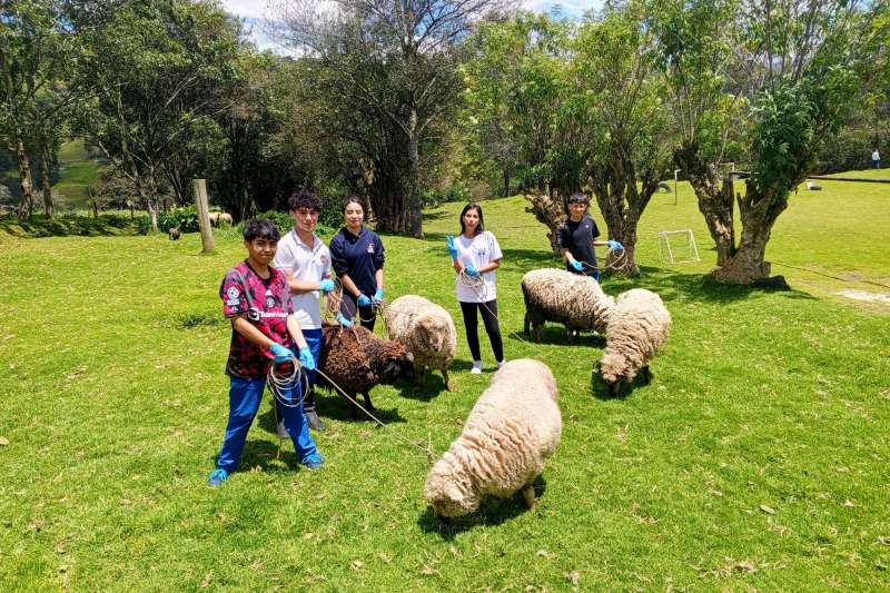 Valorando el Trabajo en el Campo