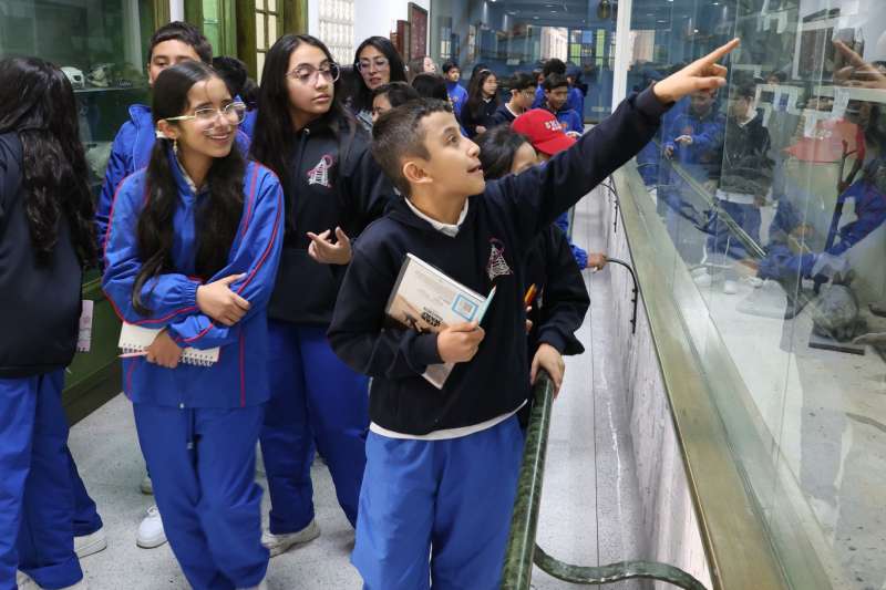 Acompañar, acoger y caminar juntos desde el inicio